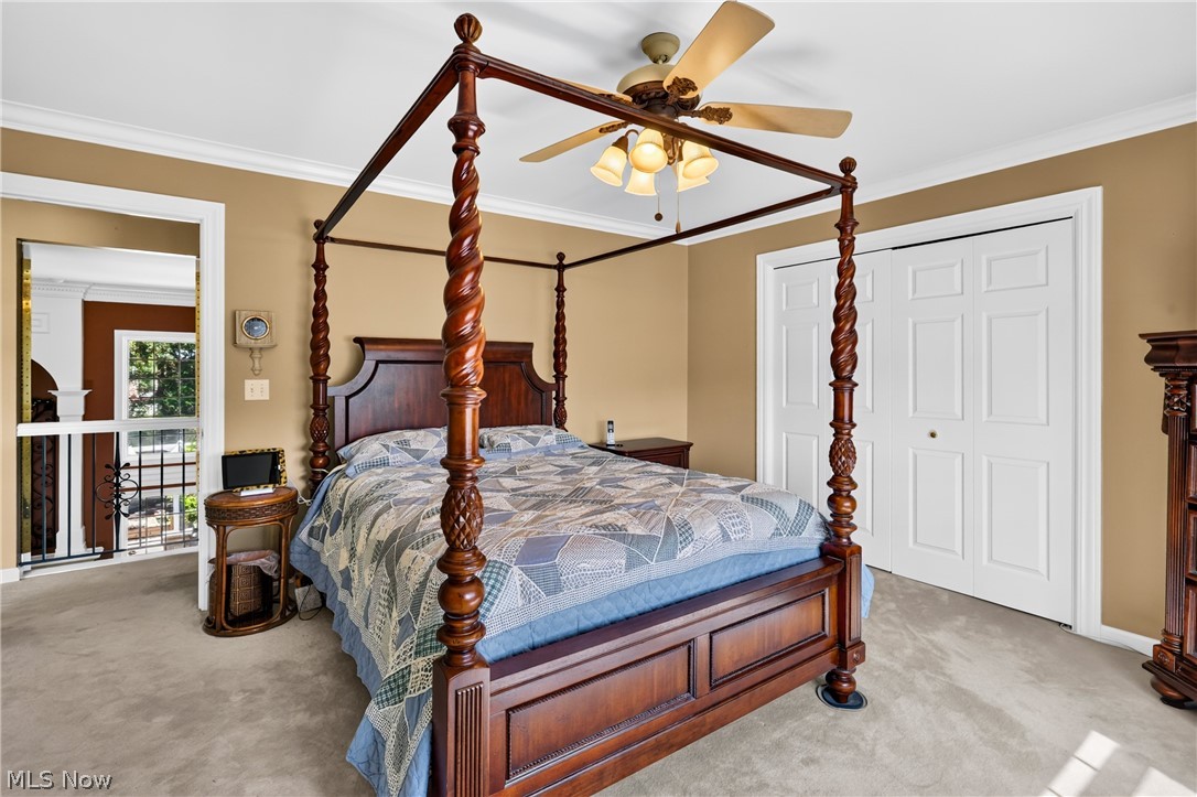 62 Pinecone Road Canfield OH 44406