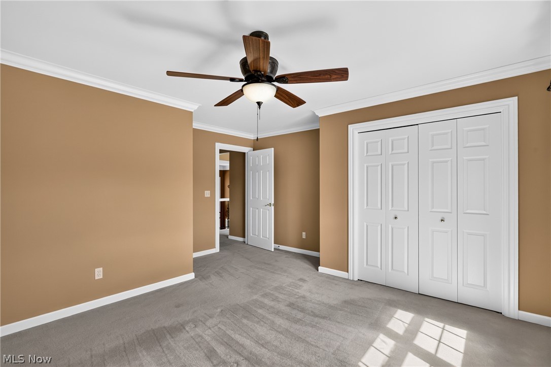 62 Pinecone Road Canfield OH 44406