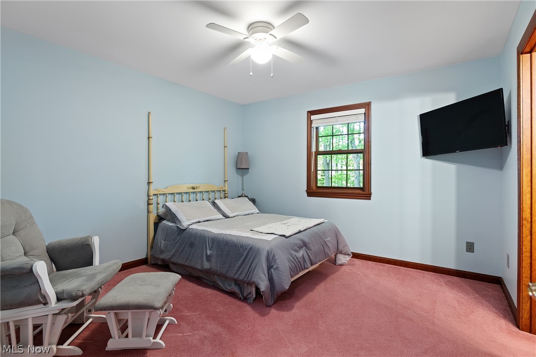 4505 Quaker Court Canfield OH 44406