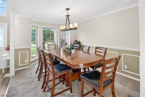 3089 Pondsford Drive Medina OH 44256
