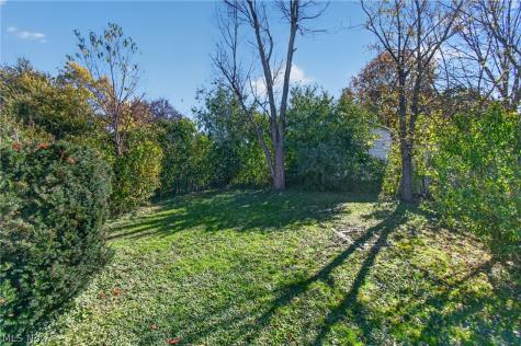 64 Palmetto Avenue Akron OH 44301