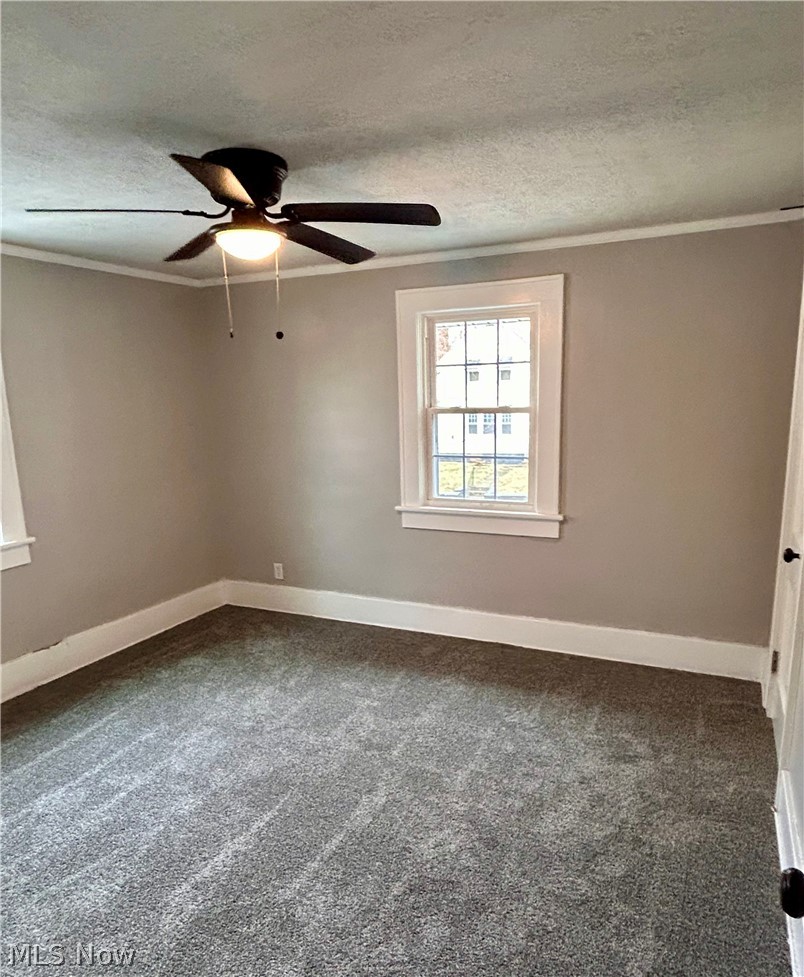 338 Noah Avenue Akron OH 44320