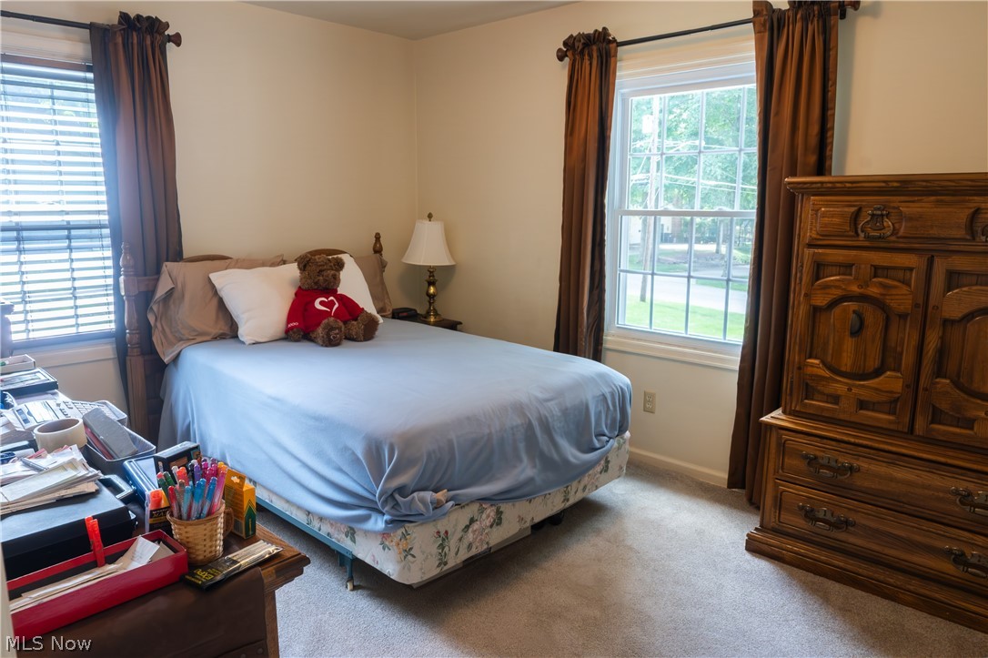 170 Chapel Lane Canfield OH 44406