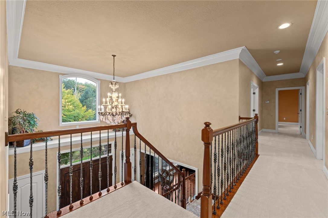 7455 Worlington Drive Solon OH 44139