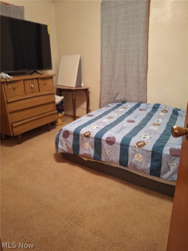 217 2nd Street Bergholz OH 43908