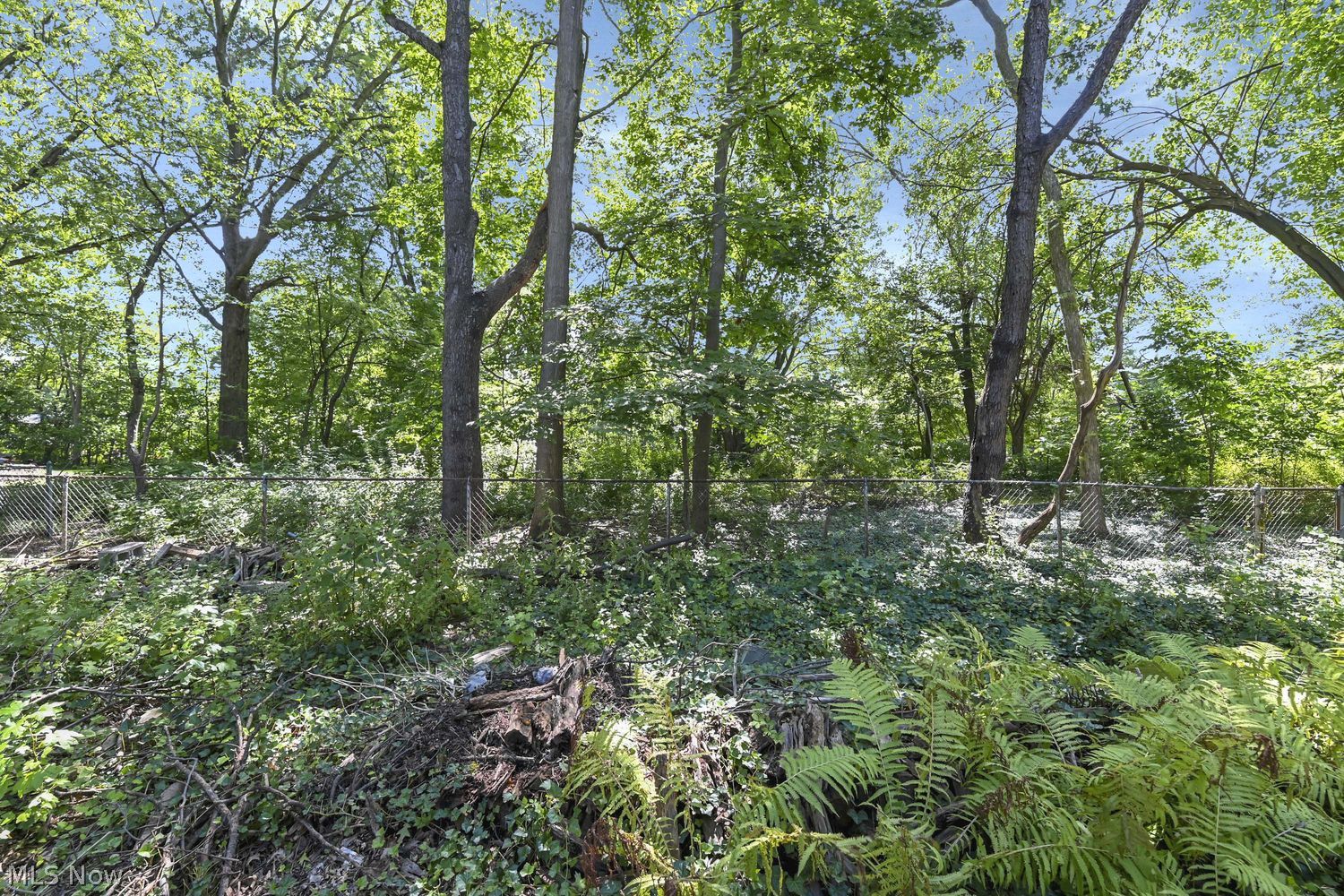 21735 Mastick Road Fairview Park OH 44126