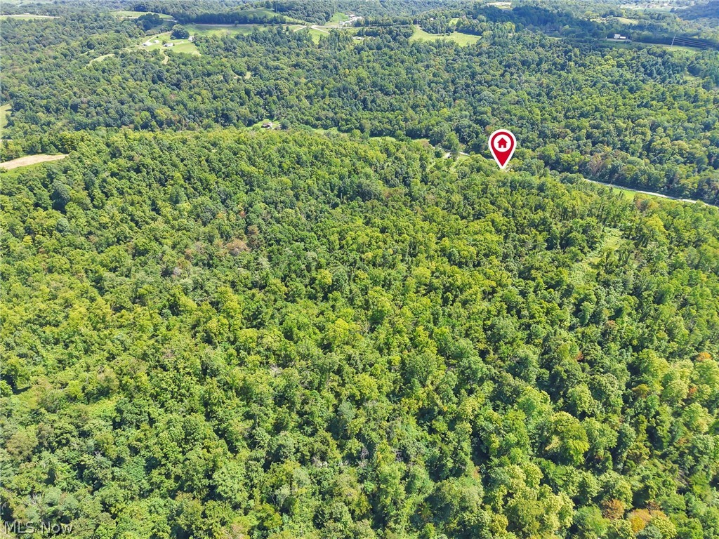 50023 Glady Road Summerfield OH 43788