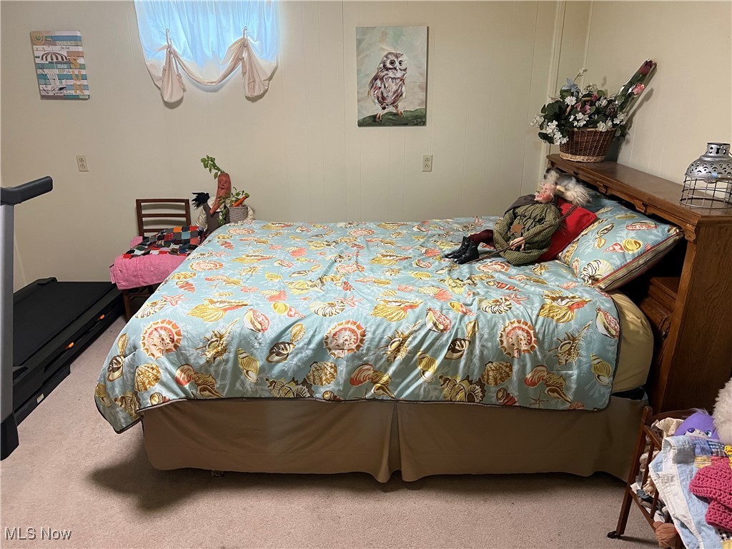 172 Lake Shore Drive Struthers OH 44471