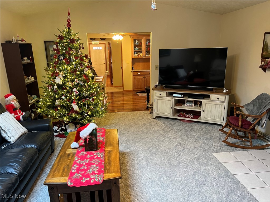172 Lake Shore Drive Struthers OH 44471