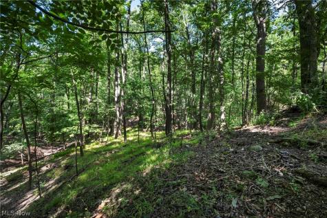954 Archer Road Bedford OH 44146