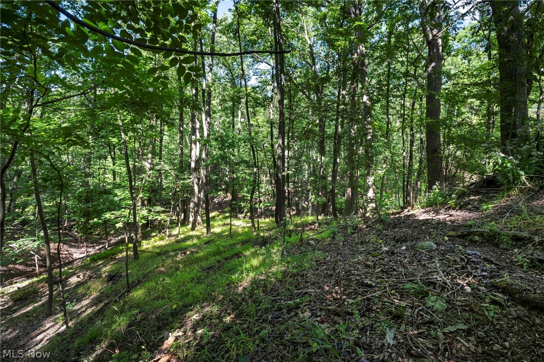 954 Archer Road Bedford OH 44146