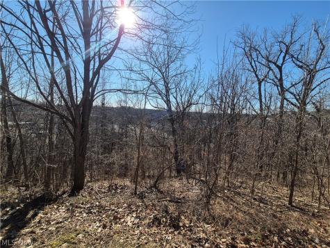 1093 E Schaaf Road Brooklyn Heights OH 44131