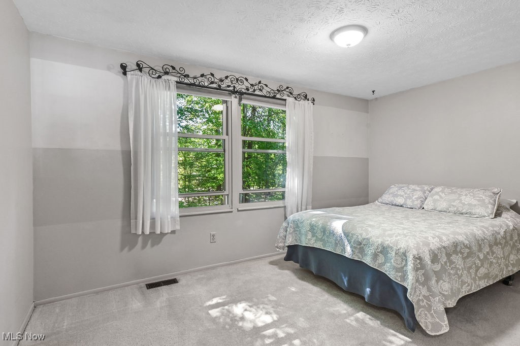 10265 Beaver Trail Aurora OH 44202