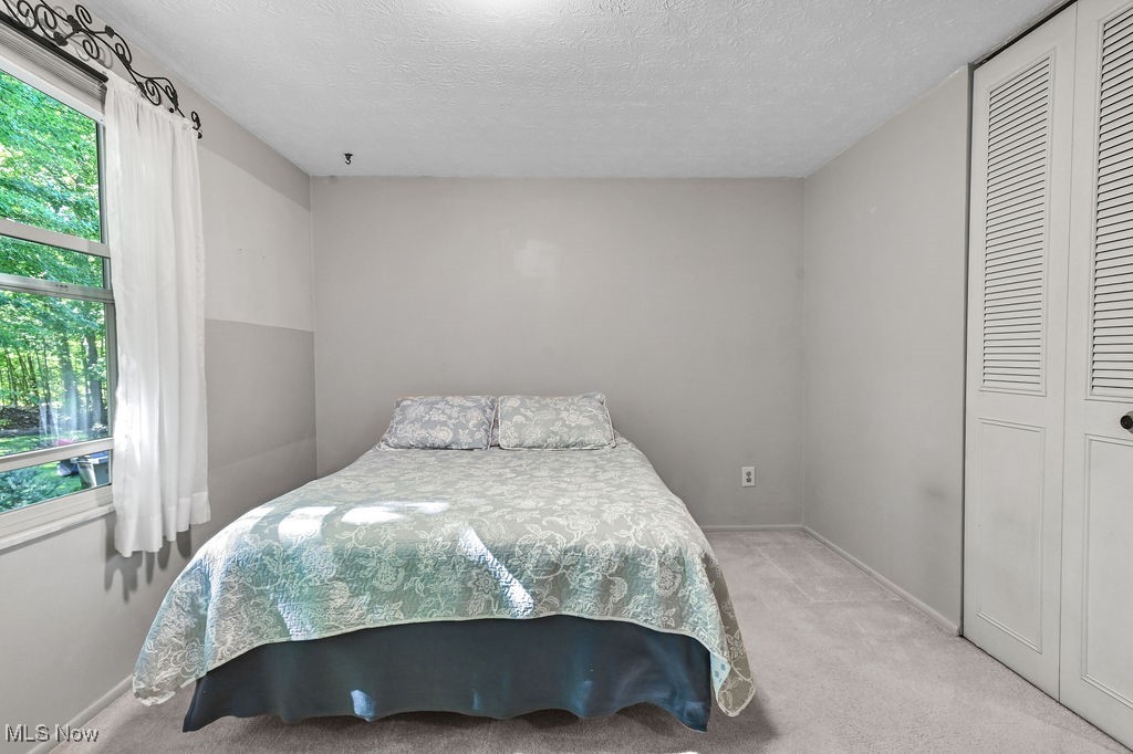 10265 Beaver Trail Aurora OH 44202