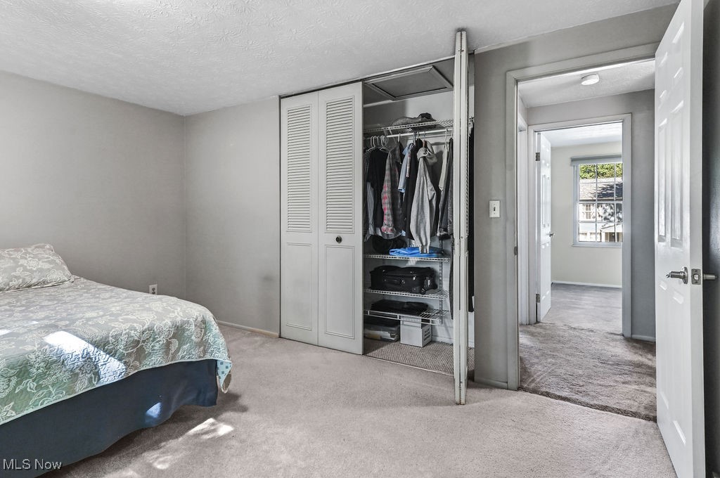 10265 Beaver Trail Aurora OH 44202