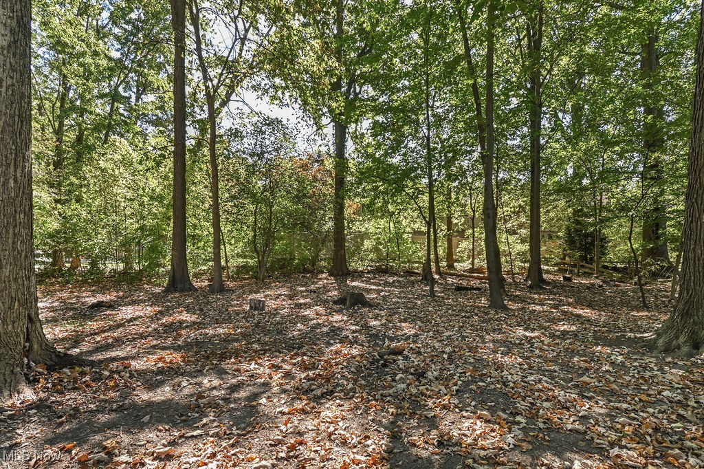 10265 Beaver Trail Aurora OH 44202