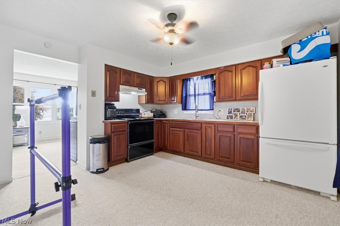 605 Snyder Drive Loudonville OH 44842