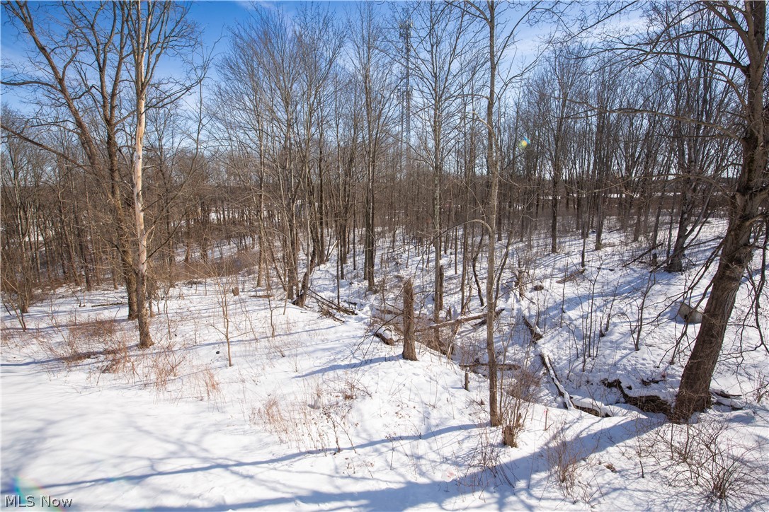 150 Seamore Road Aurora OH 44202