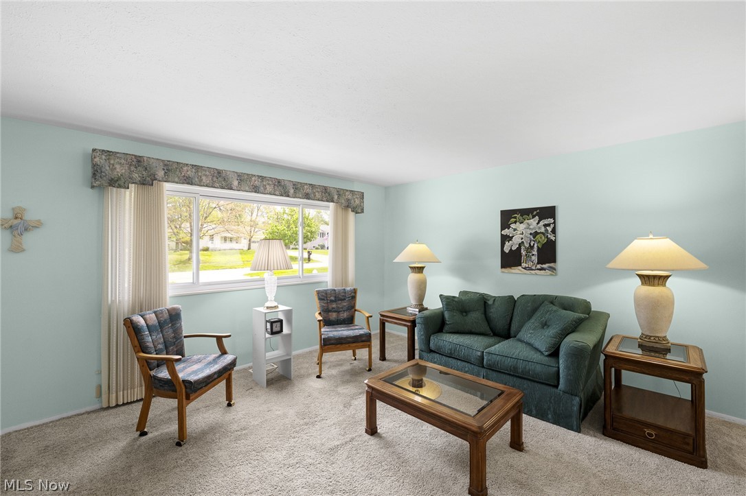 13366 Richards Drive Strongsville OH 44149