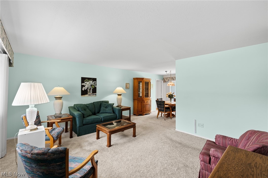 13366 Richards Drive Strongsville OH 44149