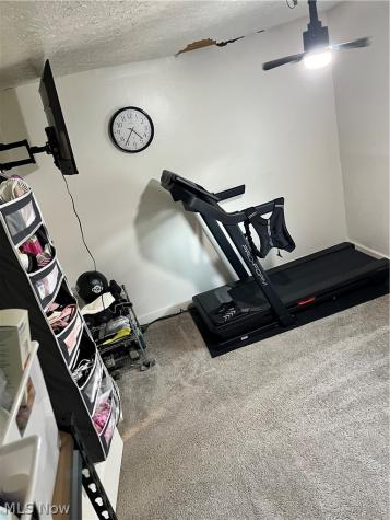 175 Wayne Street Rittman OH 44270