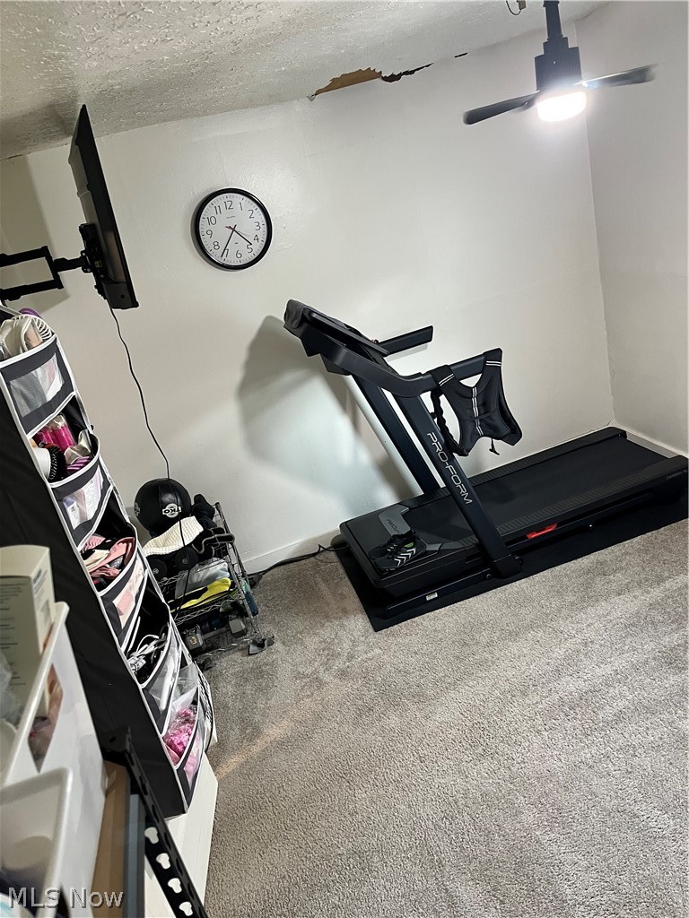 175 Wayne Street Rittman OH 44270