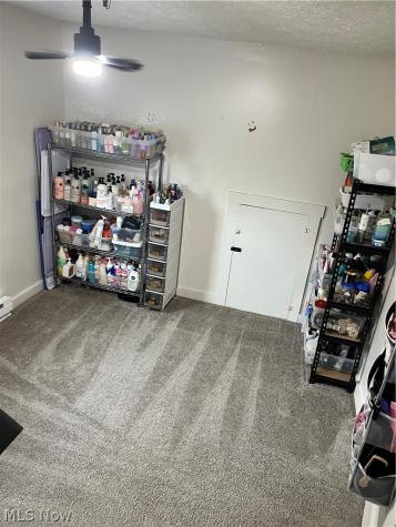 175 Wayne Street Rittman OH 44270