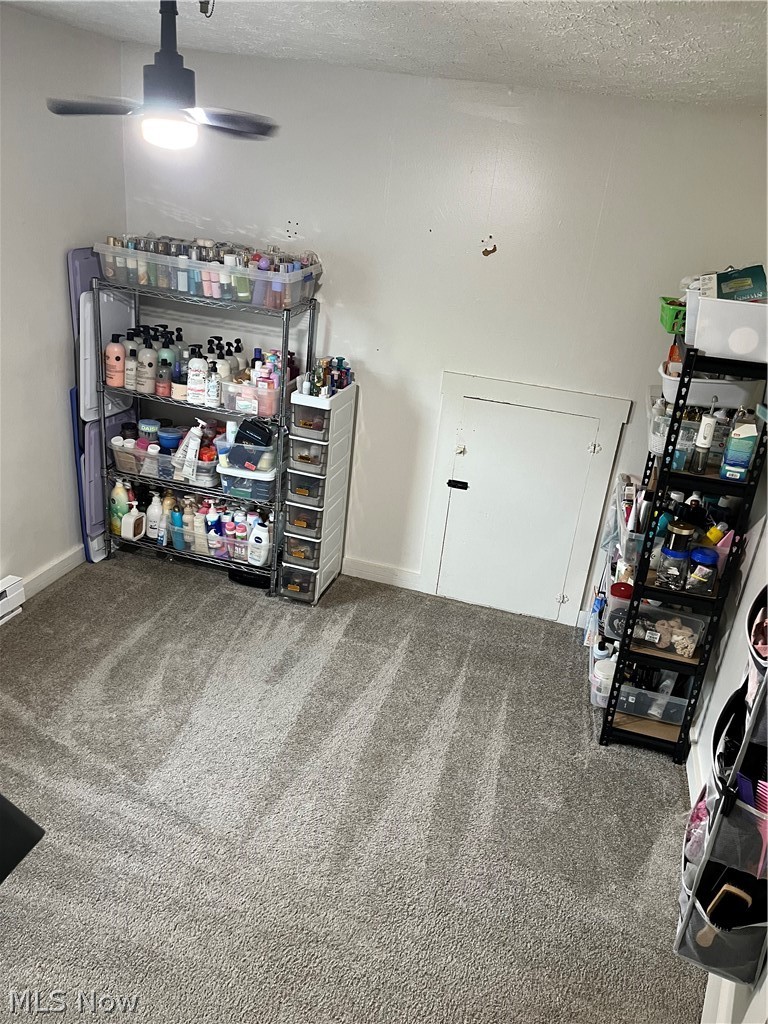 175 Wayne Street Rittman OH 44270
