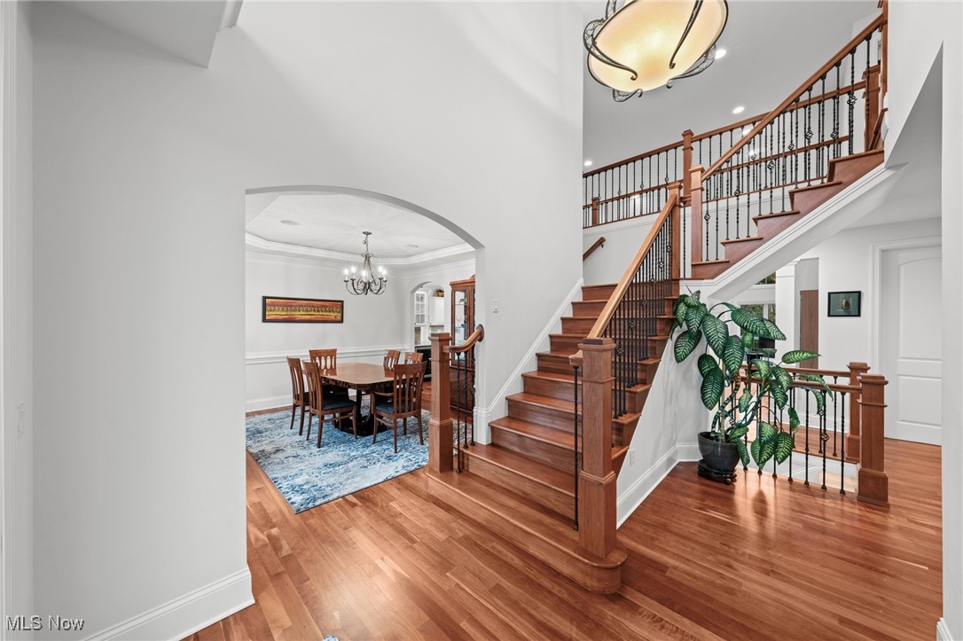343 Glasgow Drive Highland Heights OH 44143