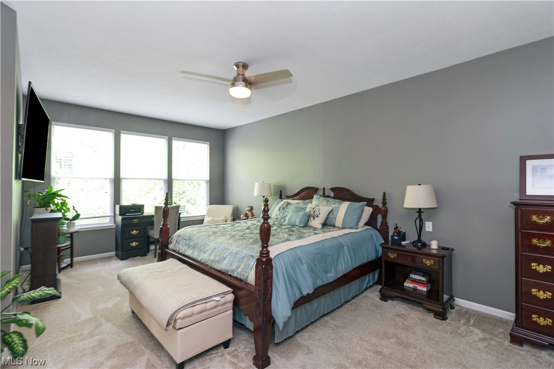 1196 Kendal Drive Broadview Heights OH 44147