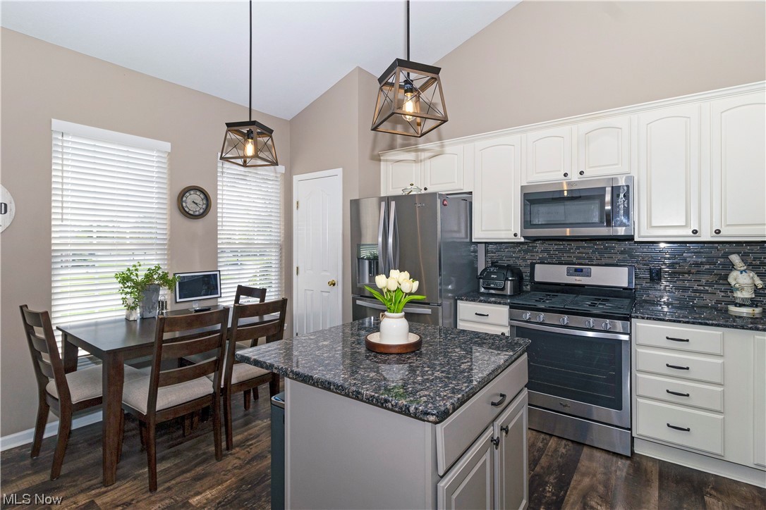 1196 Kendal Drive Broadview Heights OH 44147