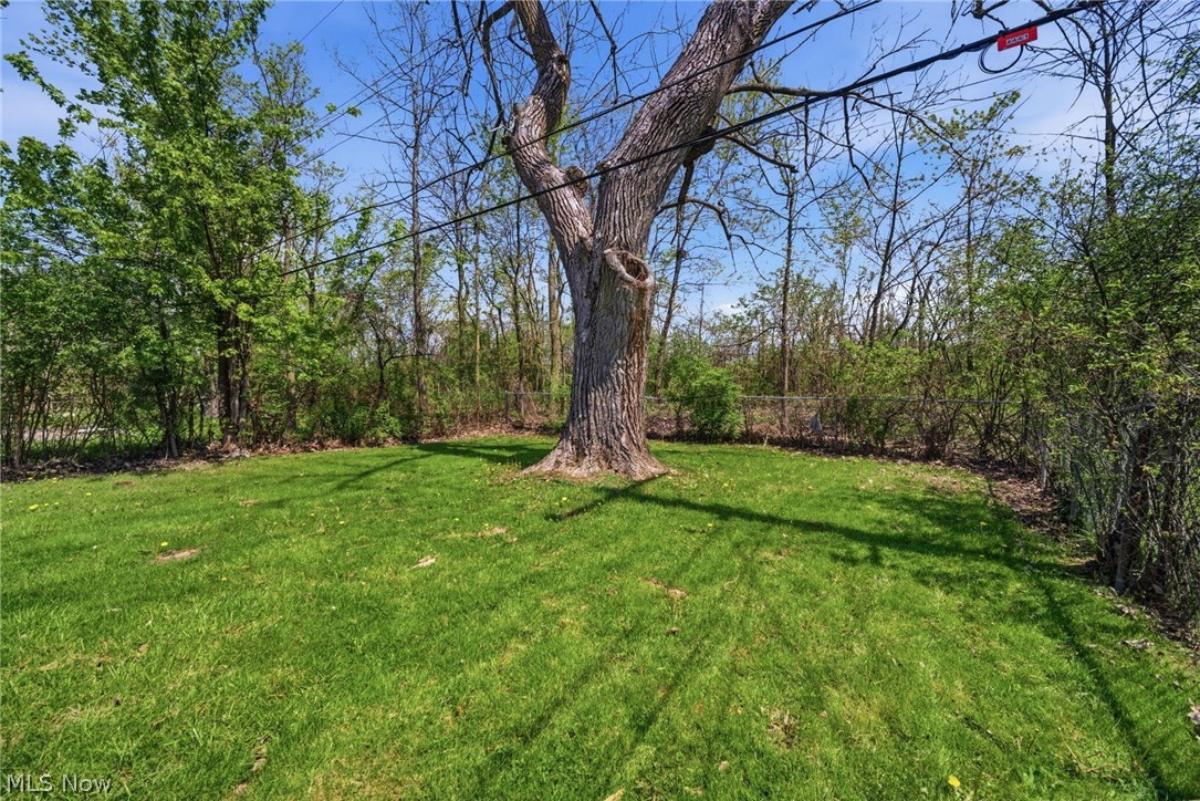 4437 E 158th Street Cleveland OH 44128