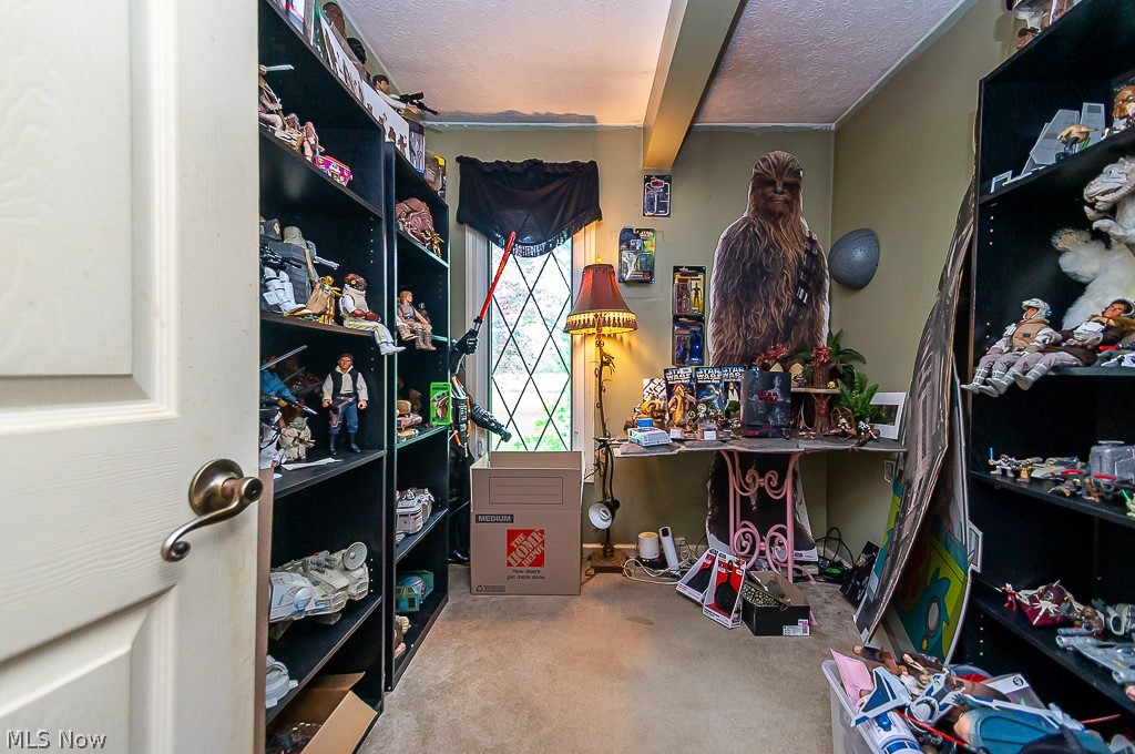17404 Vermont Street Grafton OH 44044