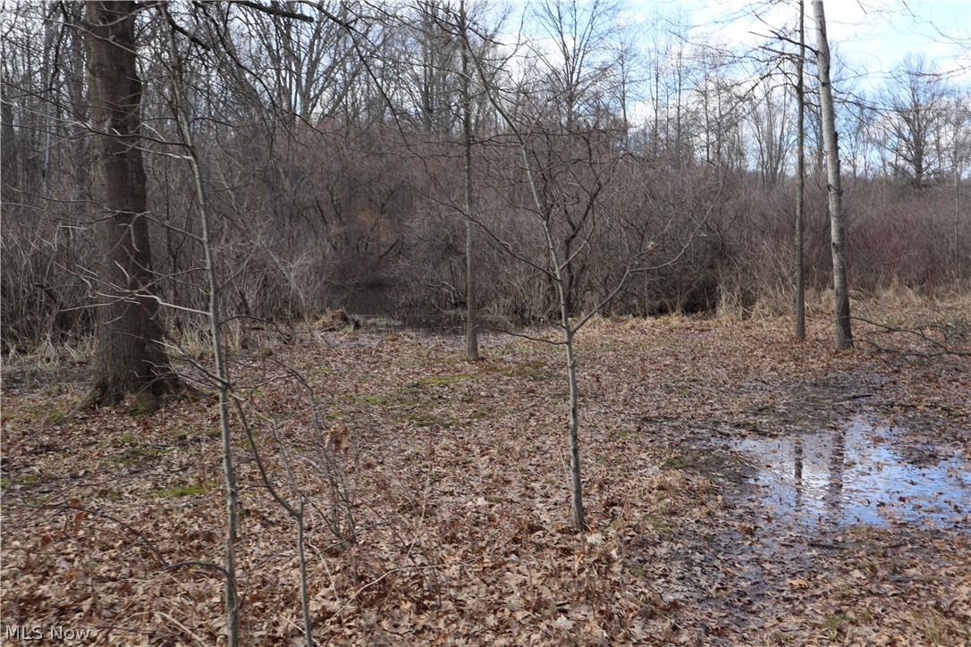5580 Charleston Road Newton Falls OH 44444