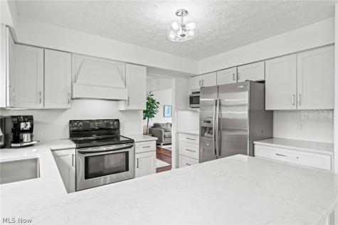 31450 Cheswick Place Solon OH 44139