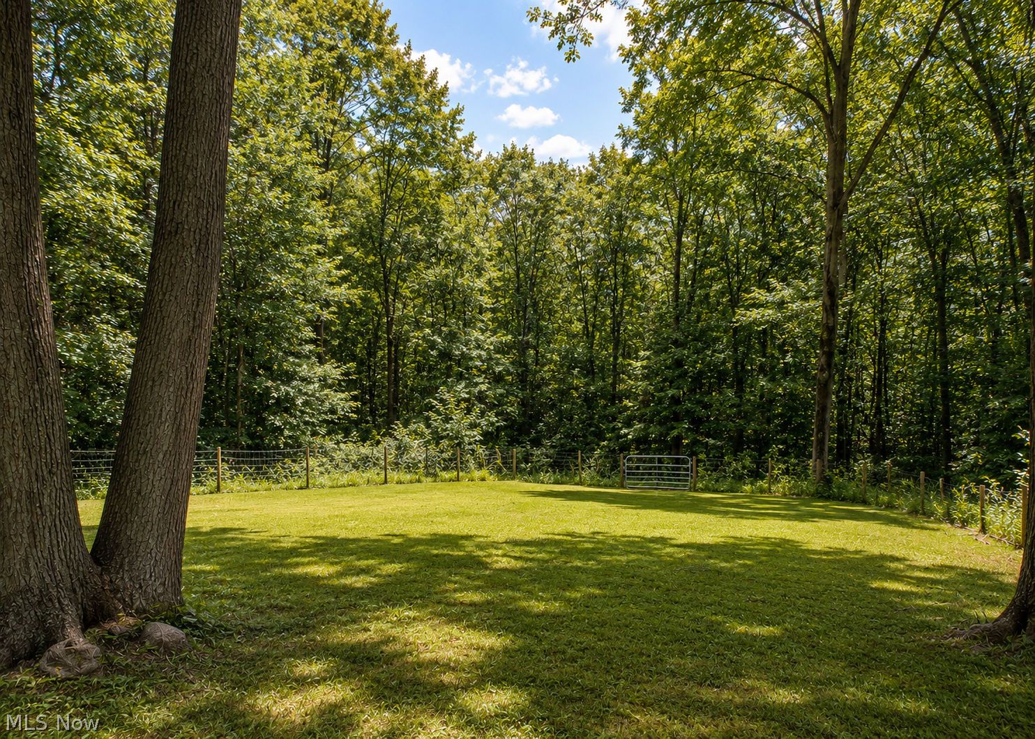 4378 Wilderness Trail Rock Creek OH 44084
