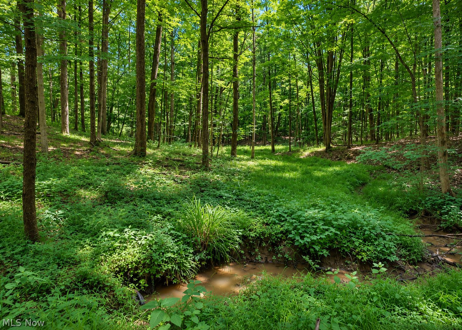 4378 Wilderness Trail Rock Creek OH 44084