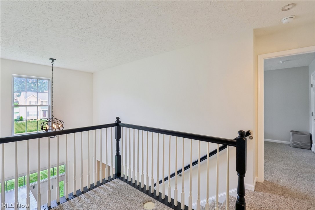 3821 Woodglen Avenue Norton OH 44203