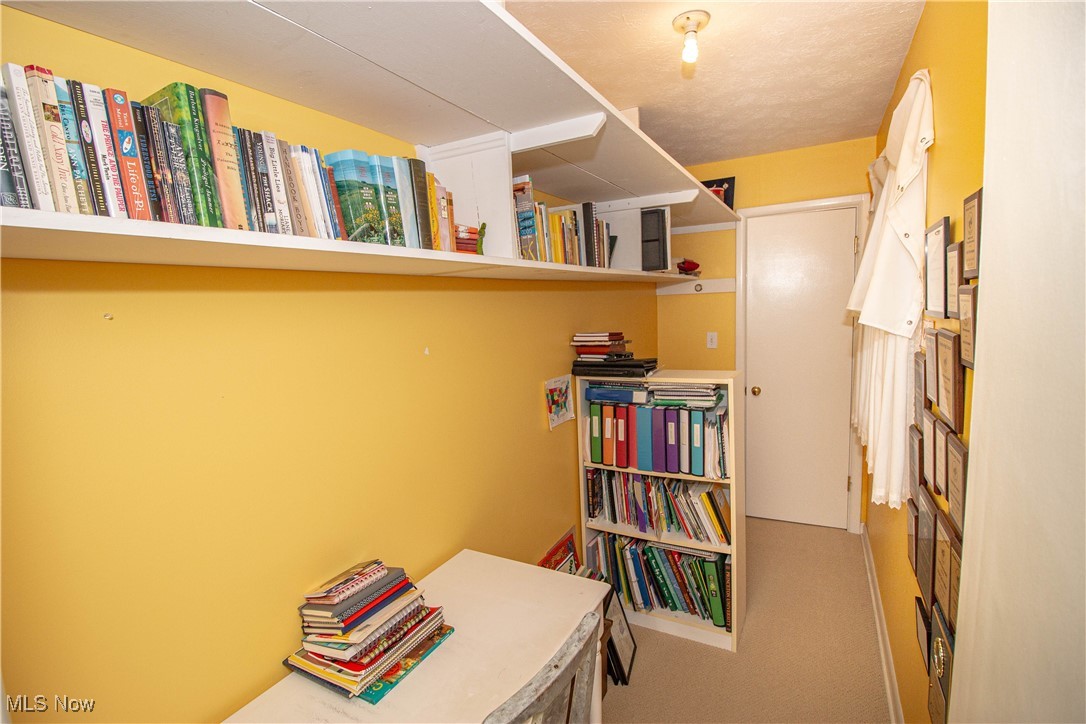 250 Roshon Drive Medina OH 44256