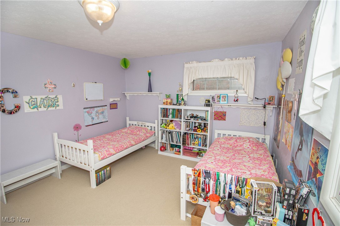 250 Roshon Drive Medina OH 44256