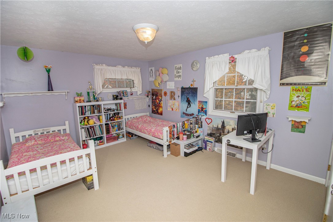 250 Roshon Drive Medina OH 44256