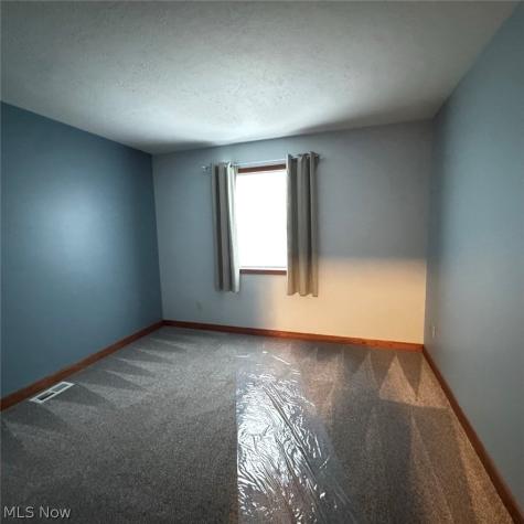 115 Sabetha Place Akron OH 44313