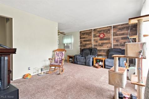 27130 Zeman Avenue Euclid OH 44132