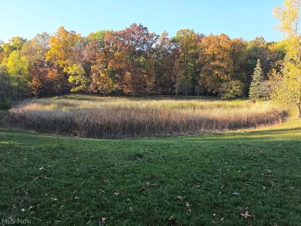 4366 Roxburghe Drive Brecksville OH 44141