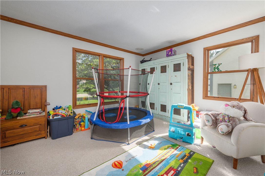 4143 Firestone Lane Vermilion OH 44089