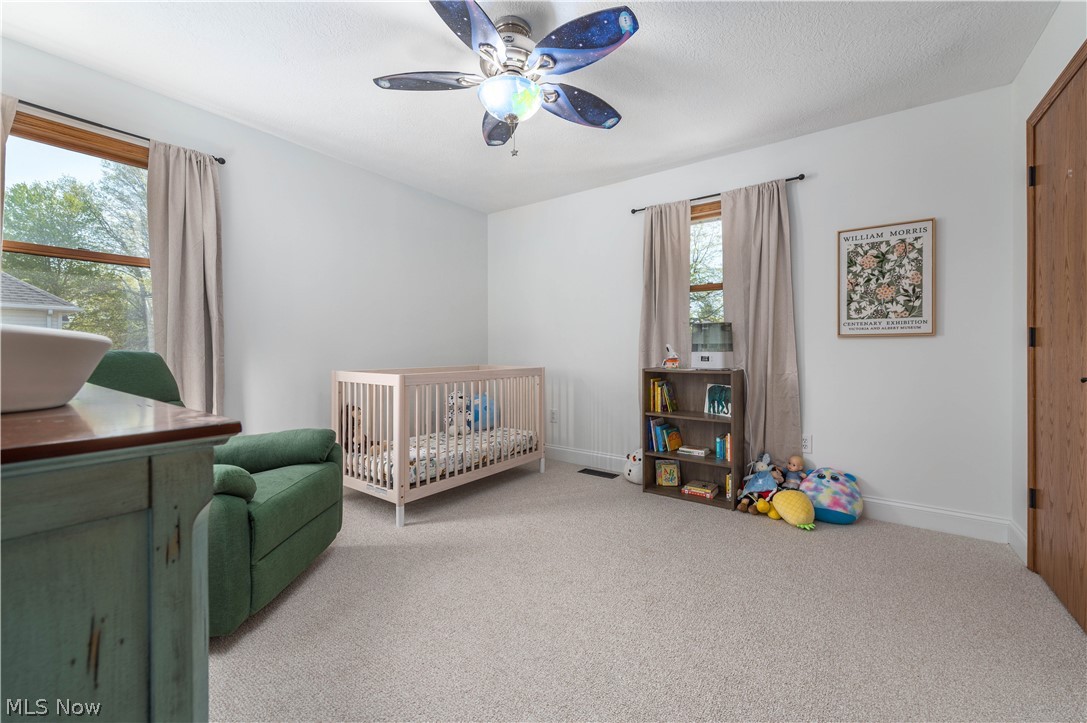 4143 Firestone Lane Vermilion OH 44089