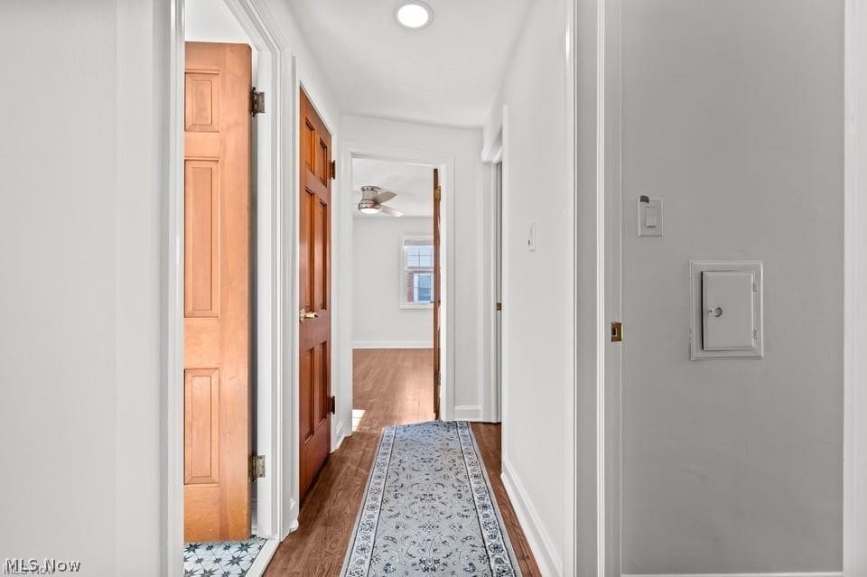 5204 Haverford Drive Lyndhurst OH 44124
