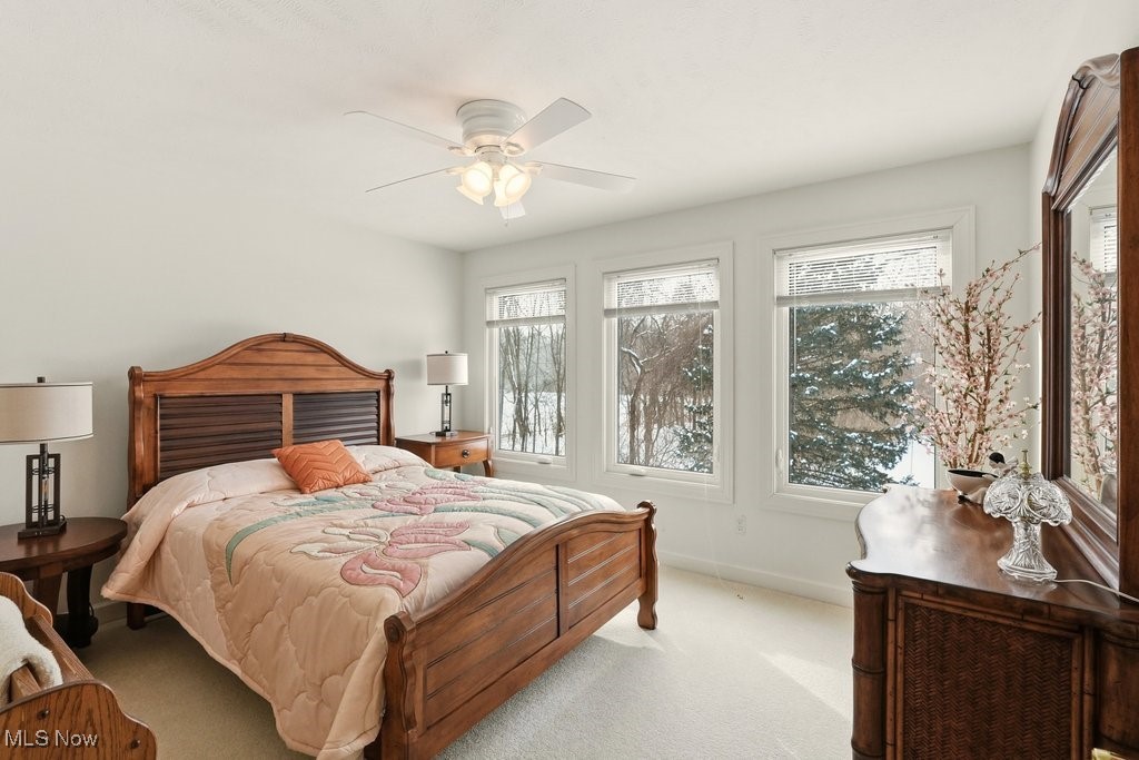 7982 Achill Court Sagamore Hills OH 44067