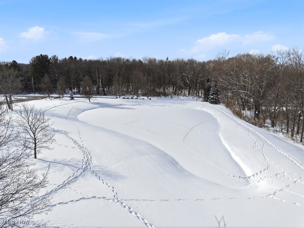 7982 Achill Court Sagamore Hills OH 44067