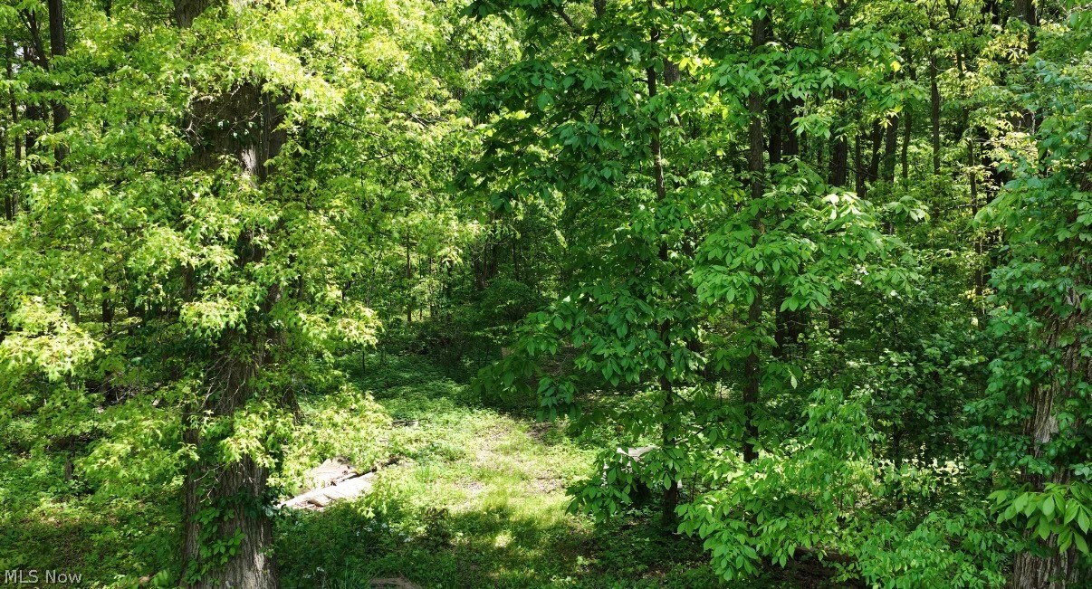 1235 Township Road 353 Ashland OH 44866